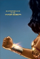 Wonder Woman Movie 