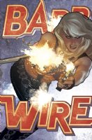 Barb Wire Cover