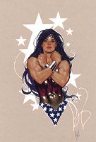 Color Wonder Woman Commission